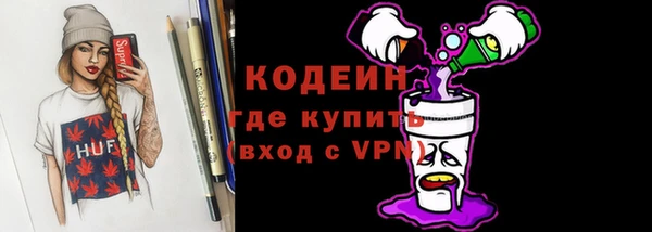 мяу мяу мука Гусь-Хрустальный
