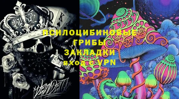 мяу мяу мука Гусь-Хрустальный