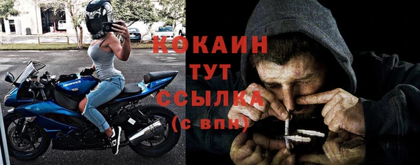 мяу мяу мука Гусь-Хрустальный