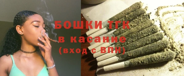 мяу мяу мука Гусь-Хрустальный