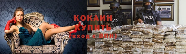мяу мяу мука Гусь-Хрустальный