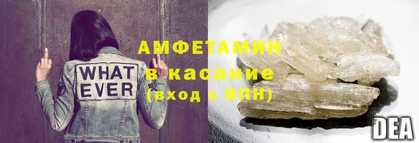 спайс Гусев