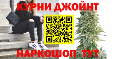 мяу мяу мука Беслан
