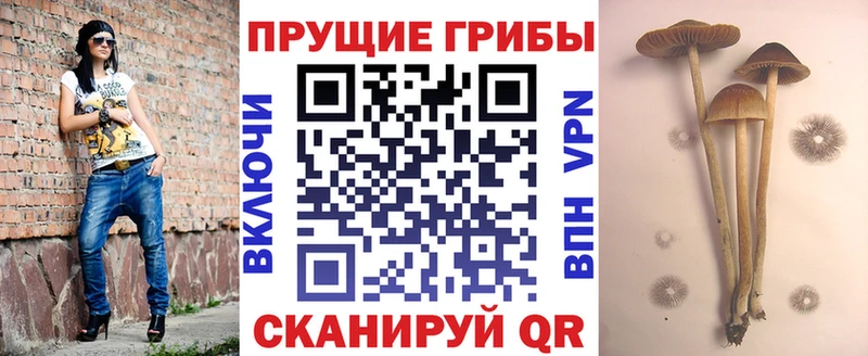 Галлюциногенные грибы мухоморы  Гуково 