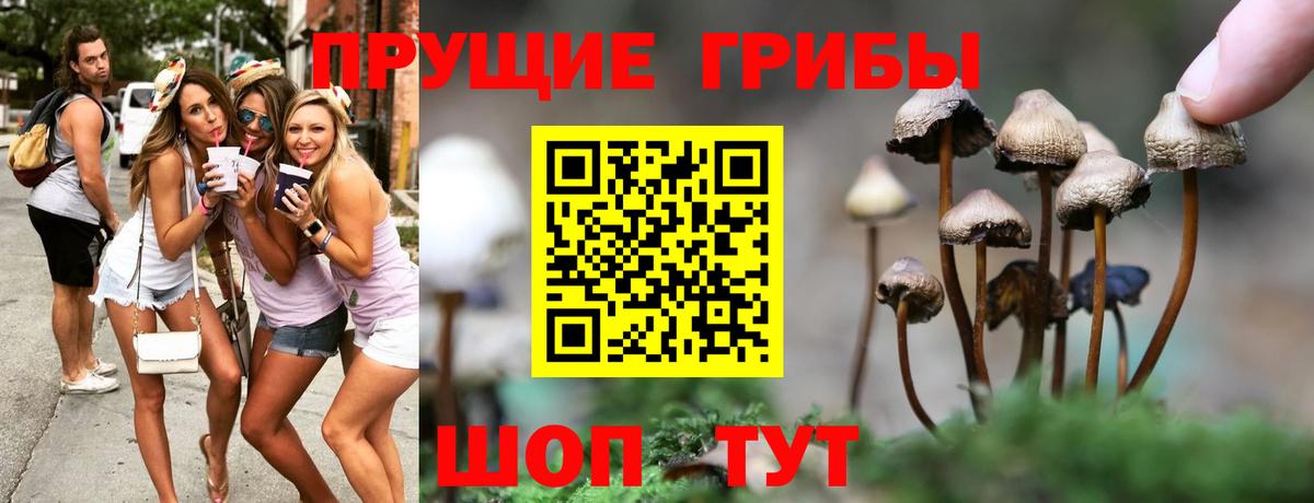 Псилоцибиновые грибы GOLDEN TEACHER  Гуково 