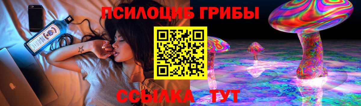 Псилоцибиновые грибы Psilocybe Гуково