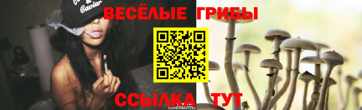 Галлюциногенные грибы прущие грибы Гуково